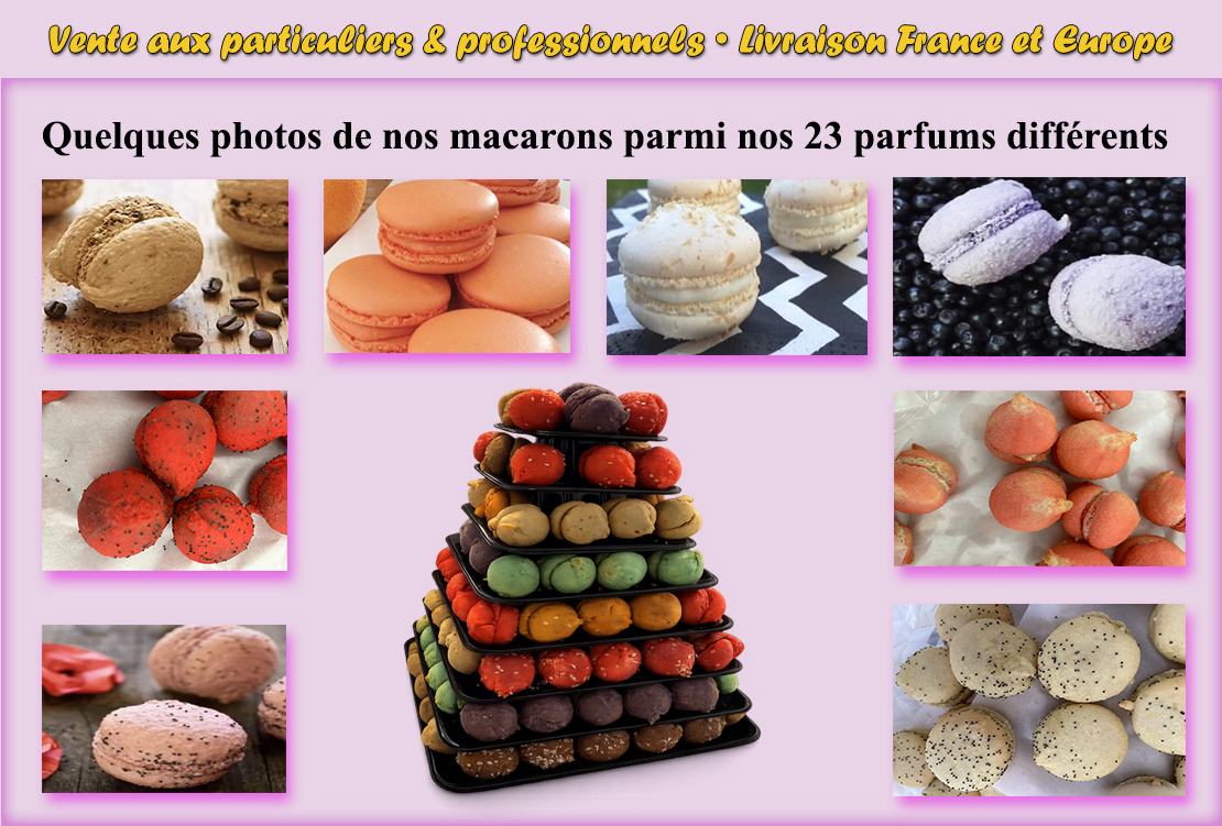 Choix de macarons artisanaux